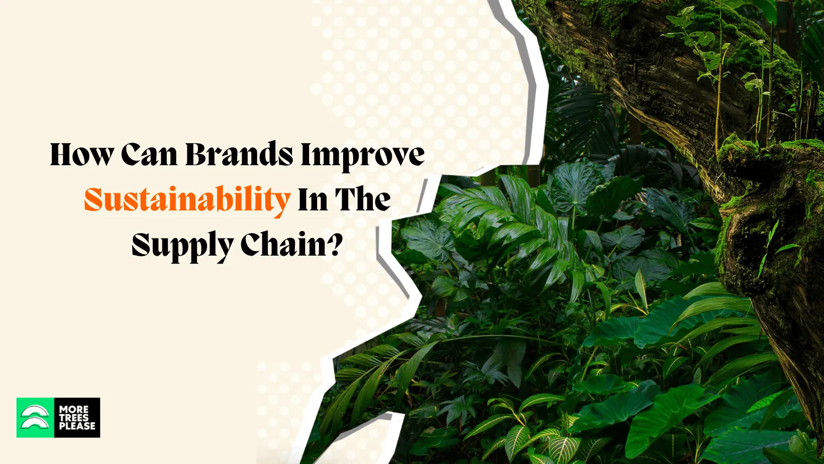 How Can Brands Improve Sustainability In The Supply Chain?